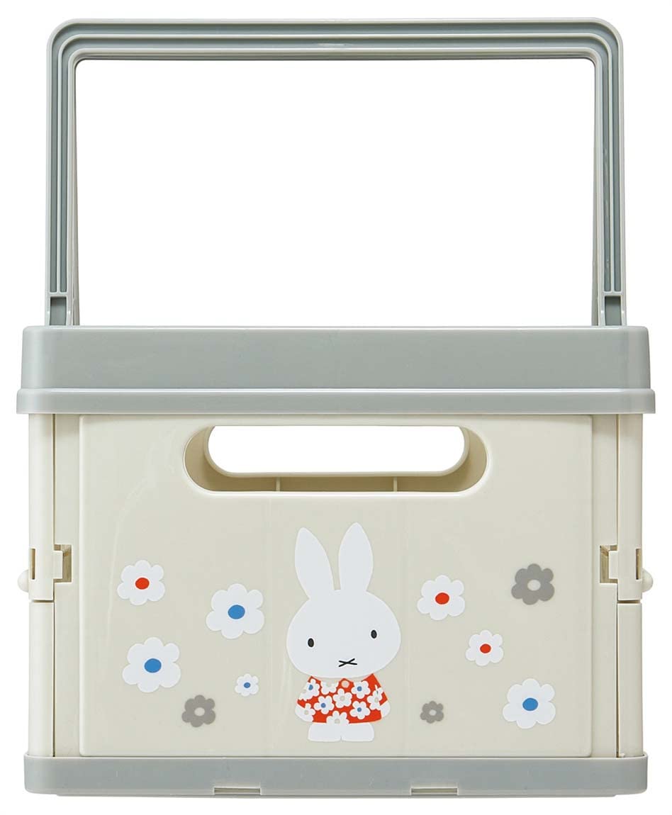 Amazon.com: Skater BWOT13-A Folding Storage Box, Toy Box with